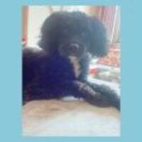 C0a0b79c4054342b5700485ca8e37c97fd056a6c