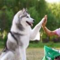 46a7529f21f3c1bb6e2238e1c6aae7667dad50ed