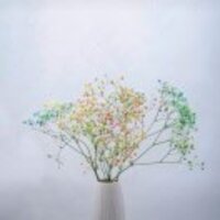 8803eb1fd3881853b073c7a13aa6cac6f202717d