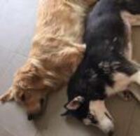 Dc74110b7295351e066acc60e6f3fd968cb73edb