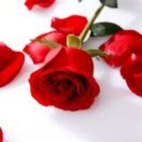 51b5b6d9e8013c12592d55c8e6f16a263e61213e