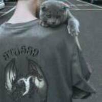 7c68f164111483e7aaef42deb50bf60f5cdd6aa3