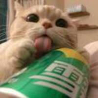 Beca7b72029bad3e12fec63190a74a2771f4b4fb