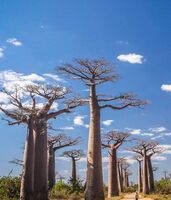 817db41ac6b1c5e9be1fed6e4f2a2994258d073c