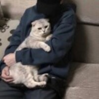 01ff7e30156132ec9cb72a79dd5c5e34fdc456c4