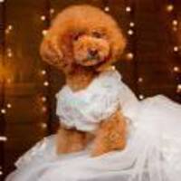 7bee07e7febf7563d2178b96bb08694187660100