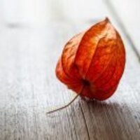 86aef8fffd824aeee15c56c55e76ffddc6eabece