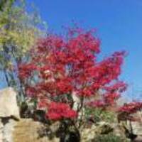 619a78b0dd09630a6686b45fb7f0d85f8535226a