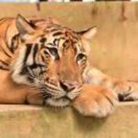 E805efc93ac927caee9b8c22241639cdf13f2316