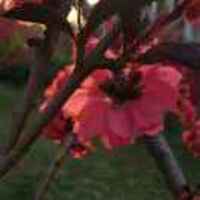 A1e8e5a1211a6296d7d07ca4ac86b54c889af11e