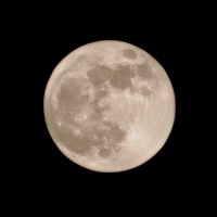 19e2eca98db3e1a68aa43a41693a7615ba67cc48