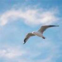 C8c64d963f0ae1bd8a128bc76da843b354a559da