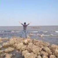 15c1f5de31c0e168c59605d1346aaad47f9b8d13