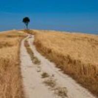 A87978375b4bba86b9ae23843e2289db03203706