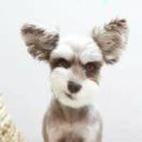 B1cf5b43f969fbc2a9d2ebf705ee37eede6a6caf