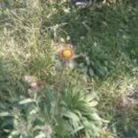 47c0a725d2367ae95b71caa649a47a1c766a42c6