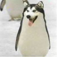 30ef87127b604468cf88be38356f632d612f6279