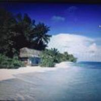 6f72e8b1f19e77fc9374505bc87a4eee0db5d54a