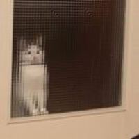 41edc842f2abfa3435280d72ca5c6907ba52f9dd