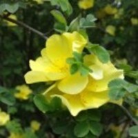 7157a559c447d83ff7e5fd90a523758040e75ca2