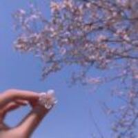 03ac8399bd088495e33349ba8082a57c5dd9c0a1