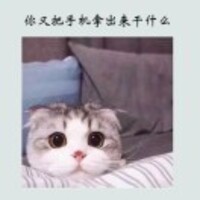 B8eacc423c6dc6ac36bbc69eee888540392ff10d