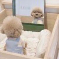 Be62c97d08751edf2ab60b19e435cd8d96df5f9c