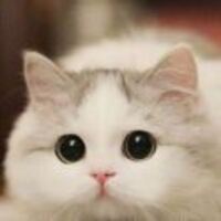 25dbff5c2ed8435a90018732a7cb402254c97c57