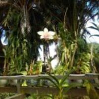 965aaca608ed8907aac8067b0c0a145a8f4d1e99