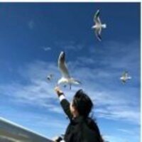 42d3fda7bc366c379f15aa7ab4be73dd536ecabf