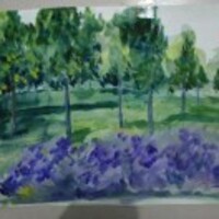 8f1f67cd2ce565da35f90eb488dbd80d71b87e8f