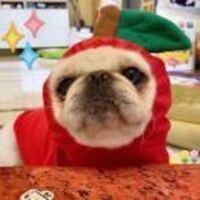 143322bc56373691a199c61922185725dc624eea