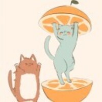 C214d4c1b4ba8381f7814bc9387e6dfe56f592b3