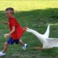 4e54be56b1d22a322ca52b547bb2d47bbf7fad22