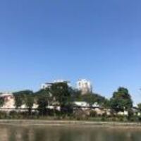 41e96f8cc4d28e93d6f275dffecb3a969893f04b