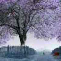 Cf592e2a75919ac115ded976086b8d6de5225e09