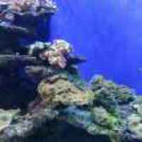 C13cf4a89b14d4d5dbecd1e482fa6fd06431fe8b