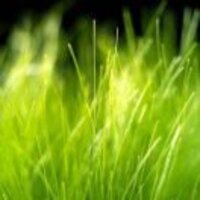 976bbf1a7066bf231c1d6c375d3bf570e3f52aa6