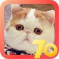 Eb46d845e95affe3a938f86afda614b95cb8ba0e