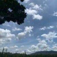 3d11639135417fd2ae6c53cf563808764974405a