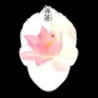 1c9e232ae1ccc163afc02c277c5fa543b02f49b5