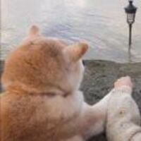 16d9f700d017a91a4ee8487a94b10c89955dfe4c