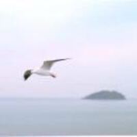 43755b32fde15845af964af975849b6f6b0e1054