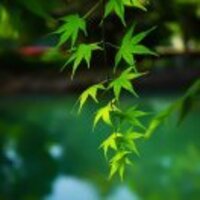 25b2b4e66a63ac46ddd8979ca38e89fa1614bf38