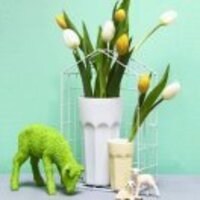 72871c55f9da09283d7b3aa7d35b6e99c89b54ab