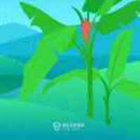 Cfbe4747b69119d62b039d3ae9ea923b6b287536