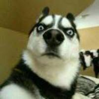 B4065de3339dc87ffa3a496b68ded00fce216d64