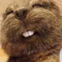 D3d850795b08b1c269243da605e62ae2e82ac060