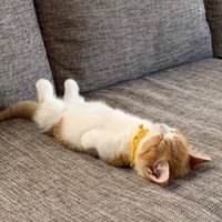 905c14311f47923b174c86a0537fa58373d31dd4