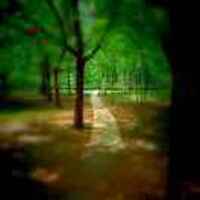 Fd5561a178c272ec64126d146139ab86133aa233